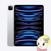 Apple アップル タブレットパソコン iPad Pro 11インチ 第4世代 Wi-Fi 128GB 2022年秋モデル MNXE3J/A