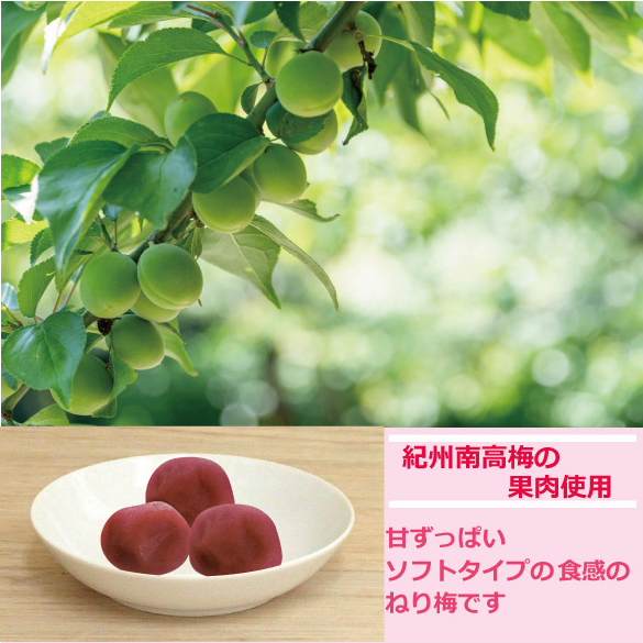 うめ玉20 | 卸売・ 問屋・仕入れの専門サイト【NETSEA】