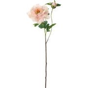 【造花】ナチュールピオニー　ライトピンク　ＦＡ－７４０５Ｌ／Ｐ