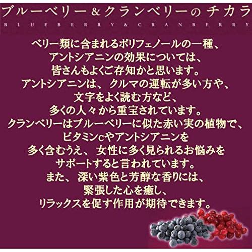Millionブルーベリー＆クランベリージュース 160g ☆ 食塩不使用 脂質0