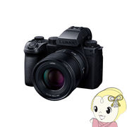 デジタル一眼カメラ Panasonic パナソニック LUMIX DC-S5M2XW ダブルレンズキット DC-S5M2XW-WLK