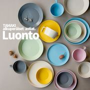 【5点セット 】TAMAKI ルオント 食器セット [新生活 お皿 磁器 おしゃれ 食器 北欧 ギフト]