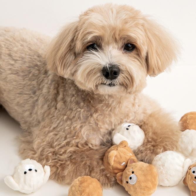 INS 犬　おもちゃ　ストレス解消  犬用　歯磨き 犬玩具    噛むおもちゃ ペット用品