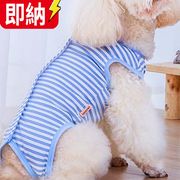 【在庫処理セール】【24H即納】犬服 ペットペット用品 ネコ雑貨