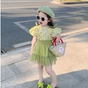 INS 韓国風子供服    ベビー服  キッズ トップス+スカート 半袖  セットアップ   女の子2色