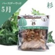 【バースデーウッド】チップ　5月の誕生木　杉（すぎ）　約15g　日本製　パッケージ付き