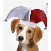 「クリスマス小物」ペット用♪売れ筋商品★♪ヘアアクセサリー♪犬猫帽子★