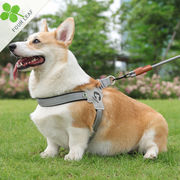 ペット用品 犬用牽引ロープ  Y型  柔らかい コート 人気 牽引ロープ 可愛い ペット雑貨