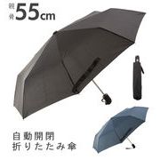 折りたたみ傘 55cm 傘 雨傘 折り畳み 折りたたみ コンパクト メンズ レディース 晴雨兼用 大