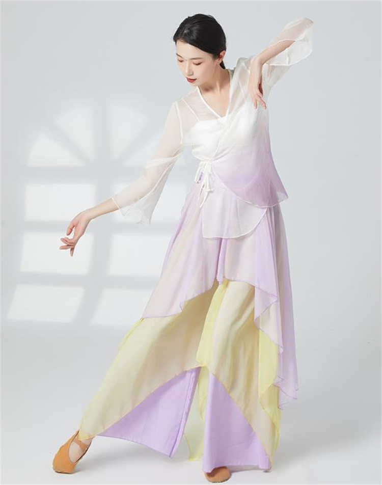 お時間限定SALE クラシックダンスのスカート ダンス衣装 キュロット 中国舞踊表演服 ゆったりする