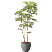 【造花】【グリーン】【人工樹木】ねむの木1.6（ポリ製）　　GLPA-086