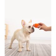 犬のおもちゃ 犬用オモチャ ラテックス 清潔 安全 小型犬用 中/大型犬用 シンプルデザイン