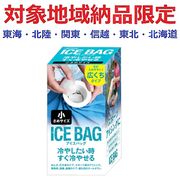 ＩＣＥ　ＢＡＧ　小