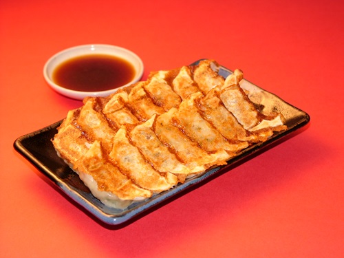 冷凍】博多鉄板餃子 業務用パッケージ 八洋食品 八洋フーズ