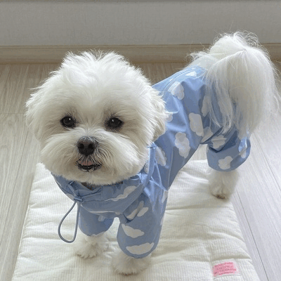 【2024春新作】 犬服 ペット服 レインコート ドッグウェア 犬猫兼用 ワンちゃん用 韓国風 ハートORクモ柄