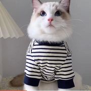 韓国のins猫の服秋の服小さな牛乳猫かわいい人形猫の脱毛春と秋の犬の猫の服