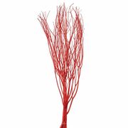 みつまた染　１００ｃｍ　橙（オレンジ）　1束(5本)　FD010100-003