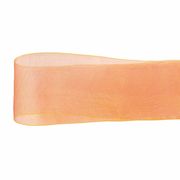 オーガンジーリボン　２５ｍｍ　1巻(25ｍ)　RO456325-012