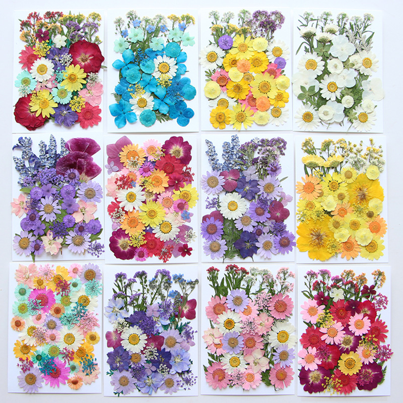 押し花 ハンドメイド 素材 レジン アクセサリーパーツ スマホケース キャンドル アロマワック ネイル用品