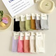 2024★春秋新作★ソックス★大人靴下