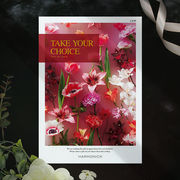 チョイスギフト テイク・ユア・チョイス　ミモザ    14190円コース【包装無料】（カタログギフト）