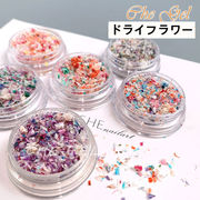 レジン ドライフラワー 花材 本物 封入パーツ 花びらのカケラMIX 小花 押し花 ミックス 小分け ケース入り