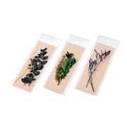 プリザーブドフラワー（Ｂ） ３種類アソート 2249-081