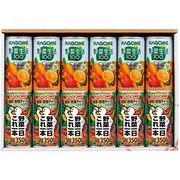 カゴメヘルシードリンクセット KJ-24AR