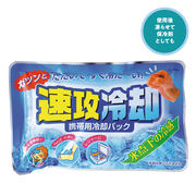 速攻冷却パック　冷感/熱中症/日射病/夏/夏バテ