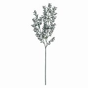 【2025年AW新作】造花 ウォッシュルスカスＬ７５ｃｍ  1本  FG001640-024