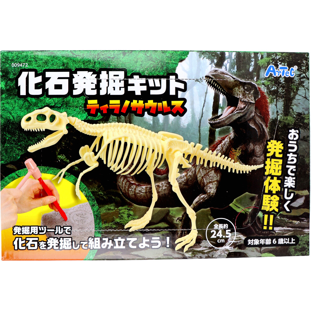 [8月26日まで特価]化石発掘キット ティラノサウルス 1セット
