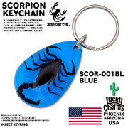 USA ARIZONA SCORPION DROP KEYCHAIN　スコーピオン　キーホルダー　アメリカン雑貨　お守り