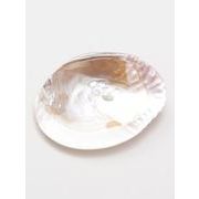 【天然石の浄化に！】シェルプレート