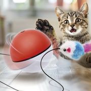 電動猫じゃらしボール AXL-766