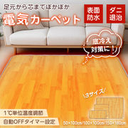 電気カーペット PSE ホットカーペット 電気マット ホットマット カーペット マット ラグ 暖房