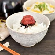 新カイラギ新飯碗大 和食器 飯碗 日本製 美濃焼 茶碗 おしゃれ モダン