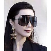 ファッション小物  眼鏡 サングラス 伊達サングラス 紫外線カット