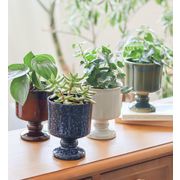 【OTHER】シナリー スタンドポット （4カラー） Sceneryvase / シナリーベース