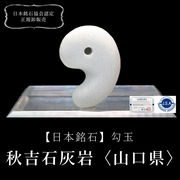 【日本銘石】勾玉　秋吉石灰岩＜山形県産＞　白　約30mm