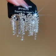 販売！完売しました INSスタイル 花火をモチーフとしたロングフリンジピアス 2026 新款ラグジュアリー調