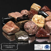 【日本銘石】さざれ　いずし和石＜兵庫県産＞　約100g