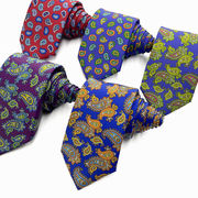 アメカジ ビジネス 父の日 男女 パーティ メンズ ネクタイ 職業ネクタイ JKネクタイ 司会 制服 33色