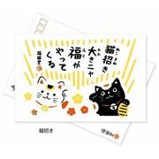 日本製 made in japan ノア+ クリーナークロス/ポストカード付 猫招き NZ-011c