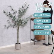 フェイクグリーン オリーブ 150cm ジョイント