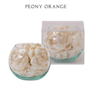 【香り付 Sola Flower】ソラリウム（グラスボウル） ピオニーオレンジ