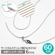 【約60cm】 シルバー 6種 サージカルステンレス製 ネックレスチェーン 着せ替え スライドボール