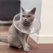 エリザベスカラー 犬 猫 術後 介護 透明 防水 ビニール 舐め防止 首輪 グッズ