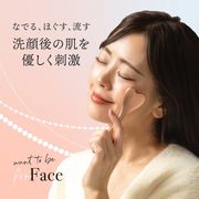 ＷＴＢ フェイスローラー