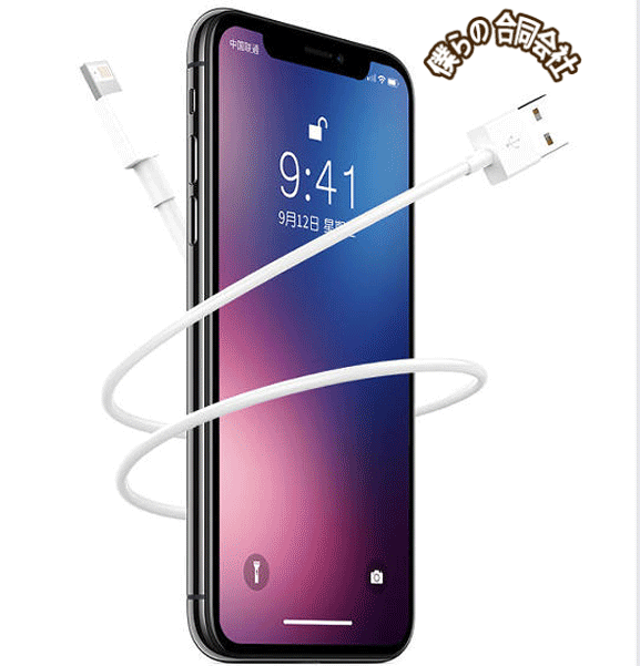 Lightningケーブル　1.5M　iPhone 充電ケーブル　USBケーブル　急速充電　断線防止　ケーブル