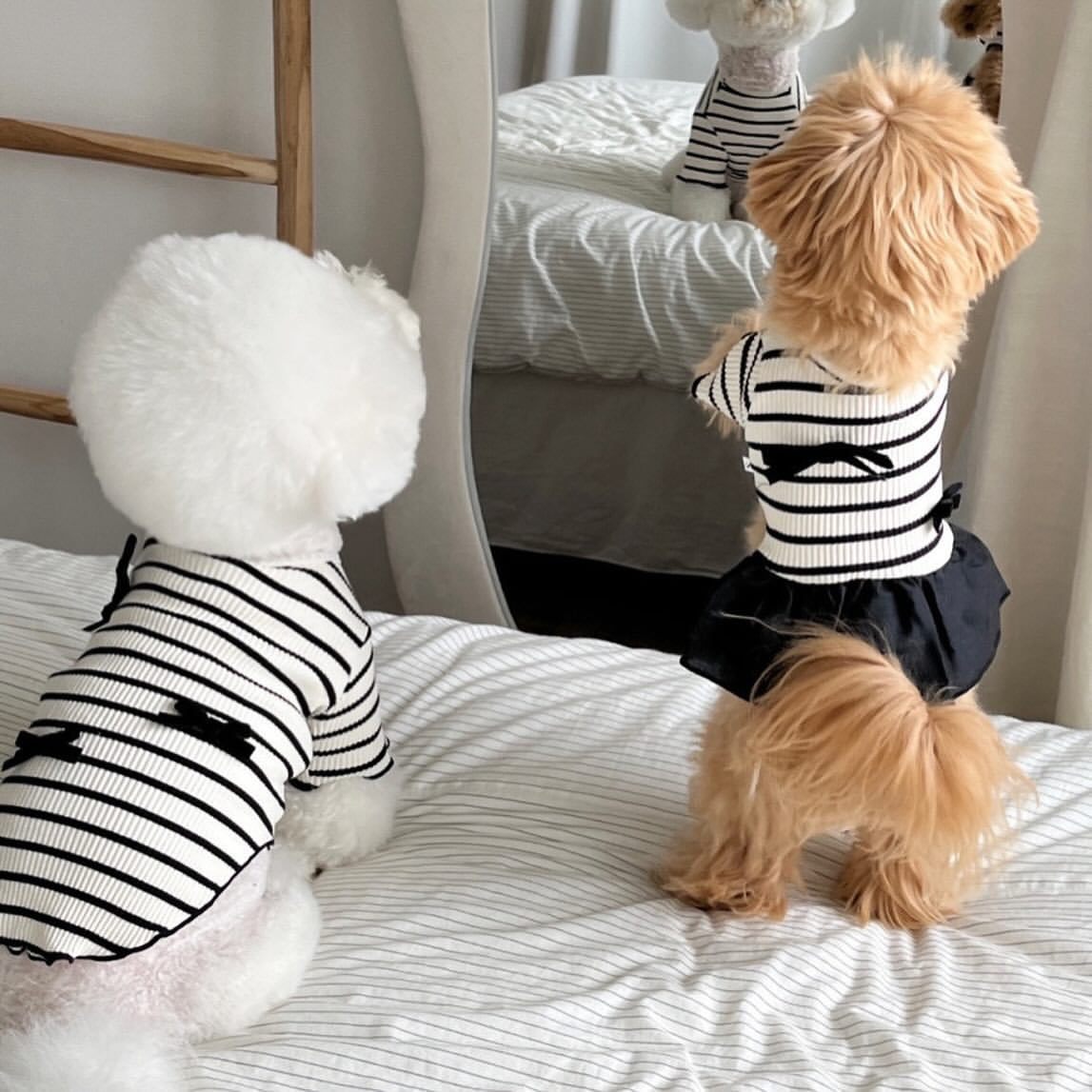 ペット服 春夏新作 犬の服 猫服 犬服 ドッグウエア ペット用品 犬用 ベスト